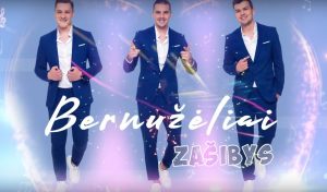 Read more about the article Bernužėliai – Zašibys – žodžiai ir audio